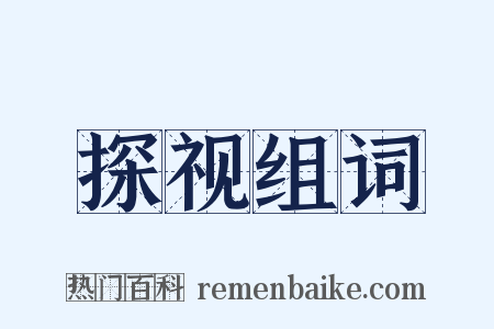 探视组词是什么意思的图片